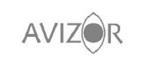 First AVIZOR Logo